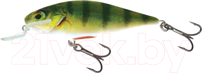 

Воблер Salmo, Executor IEX7SR-RPH / EX-070-SR-RPH