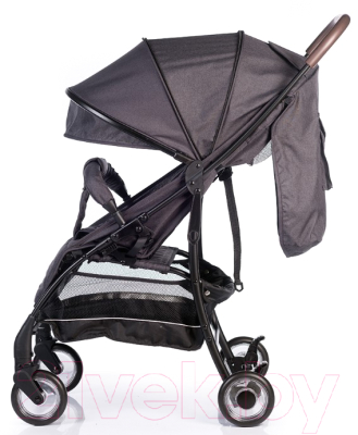 Детская прогулочная коляска Acarento Primavera / AS110 (темно-серый)