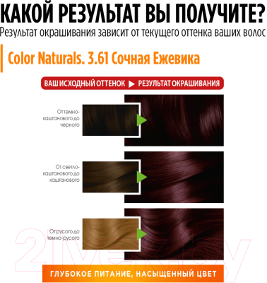 Крем-краска для волос Garnier Color Naturals Creme 3.61 (сочная ежевика)