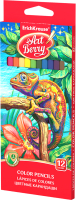 Набор цветных карандашей Erich Krause ArtBerry / 32479 (12цв) - 
