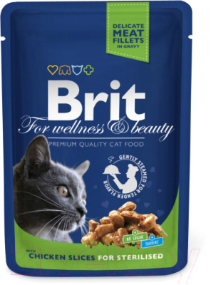 Корм для кошек  Brit