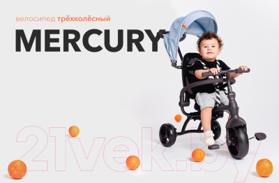 Трехколесный велосипед с ручкой Happy Baby Mercury 50015 (коричневый)