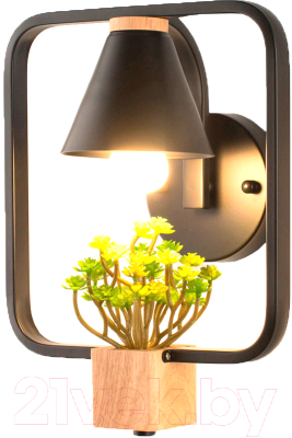 

Бра Home Light, Астерия B149-6-B