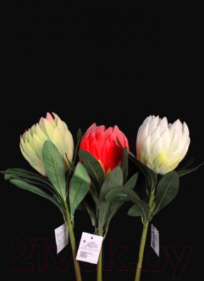 Искусственный цветок Orlix Протея / 06-145-O/1 (белый)
