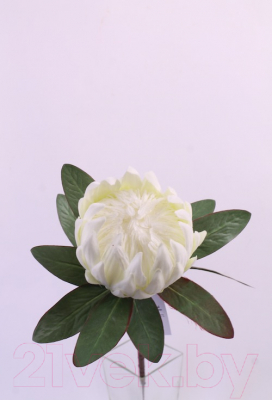 Искусственный цветок Orlix Протея / 06-145-O/1 (белый)