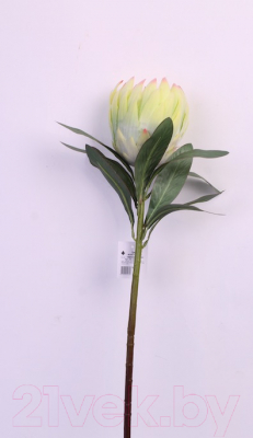 Искусственный цветок Orlix Протея / 06-145-O/2 (зеленый)
