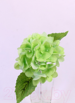 Искусственный цветок Orlix Гортензия / 06-146-O/2 (зеленый)