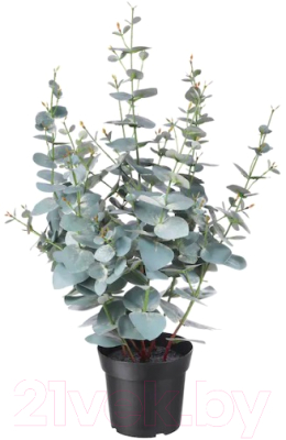 Искусственное растение Ikea Фейка 004.523.70