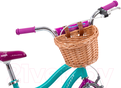 Детский велосипед Schwinn Elm 16 2020 Teal / S0615RUBWB