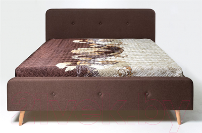 Двуспальная кровать Мебель-Парк Сканди Стелла-1 200x160 (Alex Plain 33)