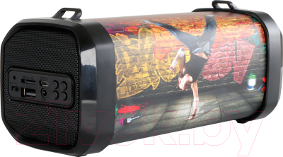 

Портативная акустика Telefunken, TF-PS1240B Street Dance
