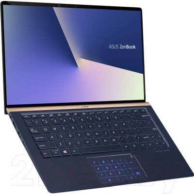 Ноутбук Asus ZenBook 13 UX333FAC-A3087T