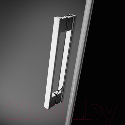 Душевая дверь Radaway Idea DWD 200 / 387120-01-01