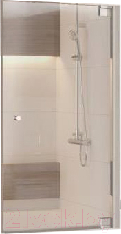 Стеклянная шторка для ванны RGW 011110285-31
