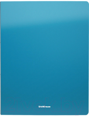 Изображение товара Папка для бумаг Erich Krause Glance Vivid / 47184