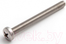 Винт ЕКТ 5x16 DIN7985 / B008067 (30шт, нержавеющая сталь)