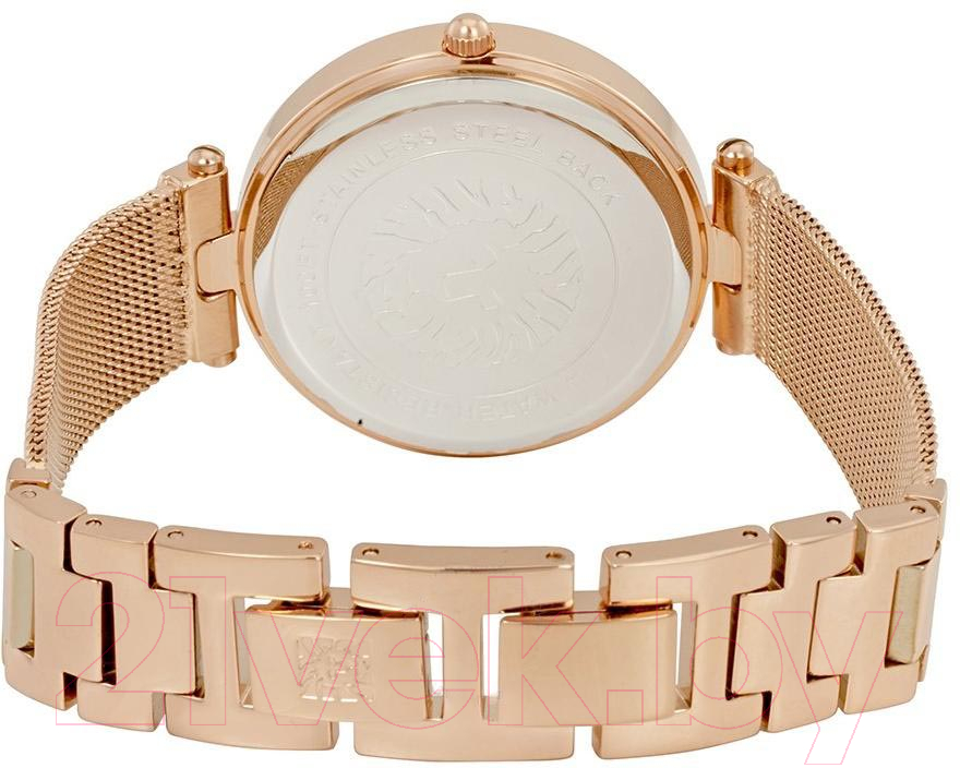 Часы наручные женские Anne Klein AK/2972MPRG