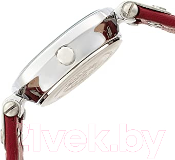 Часы наручные женские Anne Klein 10/9443WTRD