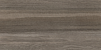 Плитка Керамин Ванкувер 3 (600x300) - 