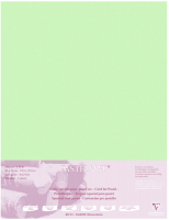 Бумага для рисования Clairefontaine PastelMat / 96157C (светло-зеленый) - 
