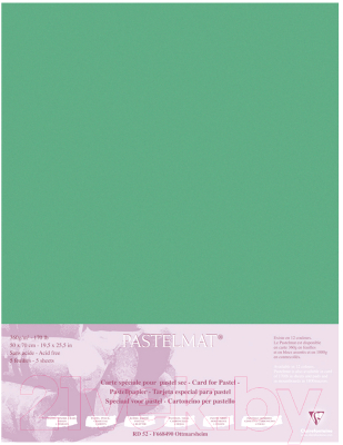 Бумага для рисования Clairefontaine PastelMat / 96168C (темно-зеленый)