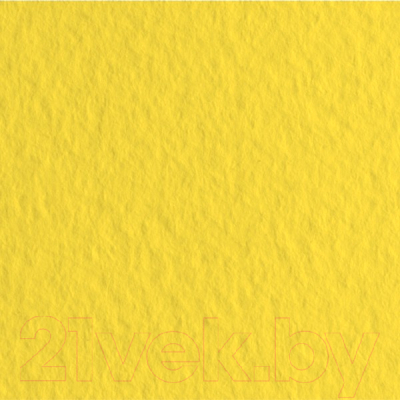 

Бумага для рисования Fabriano, Tiziano / 52551020
