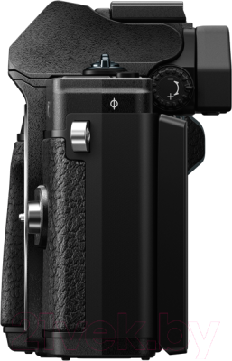 Беззеркальный фотоаппарат Olympus E-M10 Mark III Body (черный)