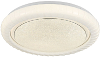 Потолочный светильник Lussole LSP-8313 - 