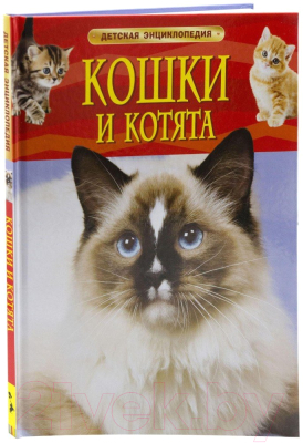 Энциклопедия Росмэн Кошки и котята (Травина И.В.)