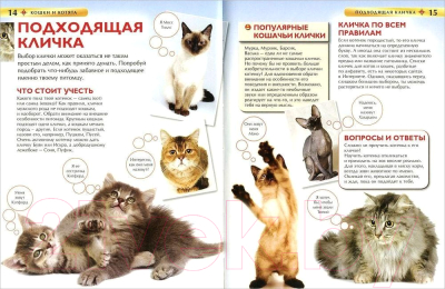 Энциклопедия Росмэн Кошки и котята (Травина И.В.)