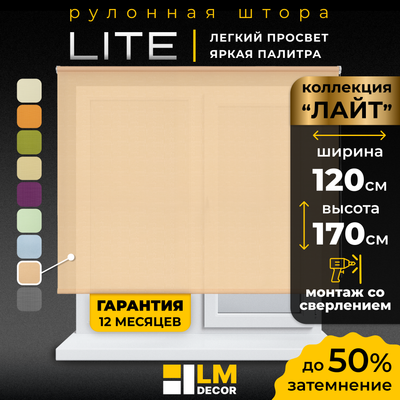 Рулонная штора Lm Decor Лайт LM 30-10C (120x170)