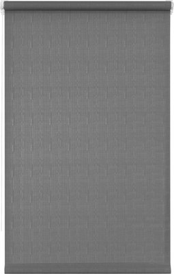 Рулонная штора Lm Decor Лайт LM 30-11C 67x160 (темно-серый) - 