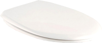 

Сиденье для унитаза BelBagno, Linea BB9363SC