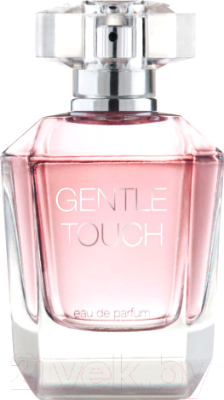 Парфюмерная вода Dilis Parfum Gentle Touch (75мл)
