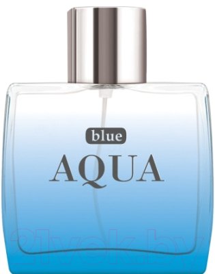 Туалетная вода Dilis Parfum Blue Aqua (100мл)