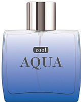 Туалетная вода Dilis Parfum Cool Aqua (100мл) - 