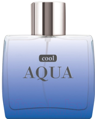 Туалетная вода Dilis Parfum Cool Aqua (100мл)