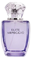 Туалетная вода Dilis Parfum Elite Arpeggio (100мл) - 