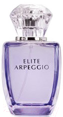 Туалетная вода Dilis Parfum Elite Arpeggio (100мл)