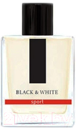 

Туалетная вода Dilis Parfum, Black&White