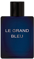 Туалетная вода Dilis Parfum Le Grand Bleu (100мл) - 