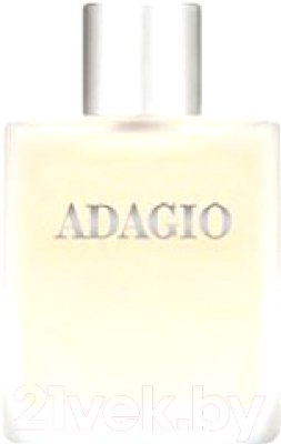 Туалетная вода Dilis Parfum Adagio (100мл)