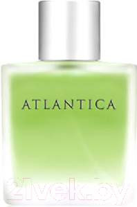 

Туалетная вода Dilis Parfum, Atlantica Behind The Destiny