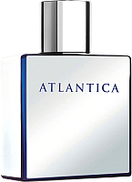 Туалетная вода Dilis Parfum Atlantica Mercury (100мл) - 