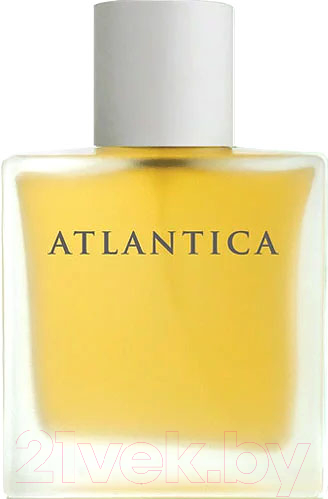 Туалетная вода Dilis Parfum Atlantica Taboo