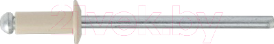 Заклепка Starfix SM-54826-20000