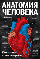 Книга Эксмо Анатомия человека: компактный атлас-раскраска (Боянович Ю.) - 