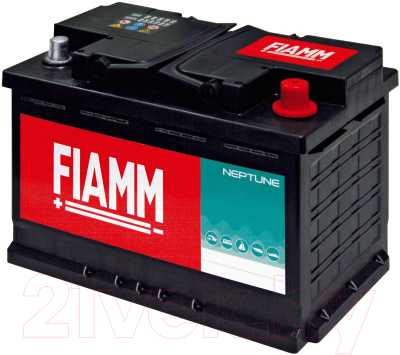 Аккумулятор лодочный Fiamm Neptune / 7903666 (95А/ч)