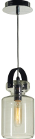 Потолочный светильник Lussole Loft Brighton GRLSP-9638 - 