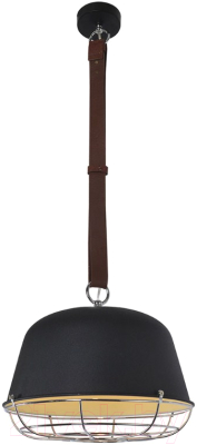 

Потолочный светильник Lussole, Loft Kodiak GRLSP-8044